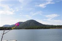 Núi Voi ở Đà Lạt Núi Voi ở Đà Lạt